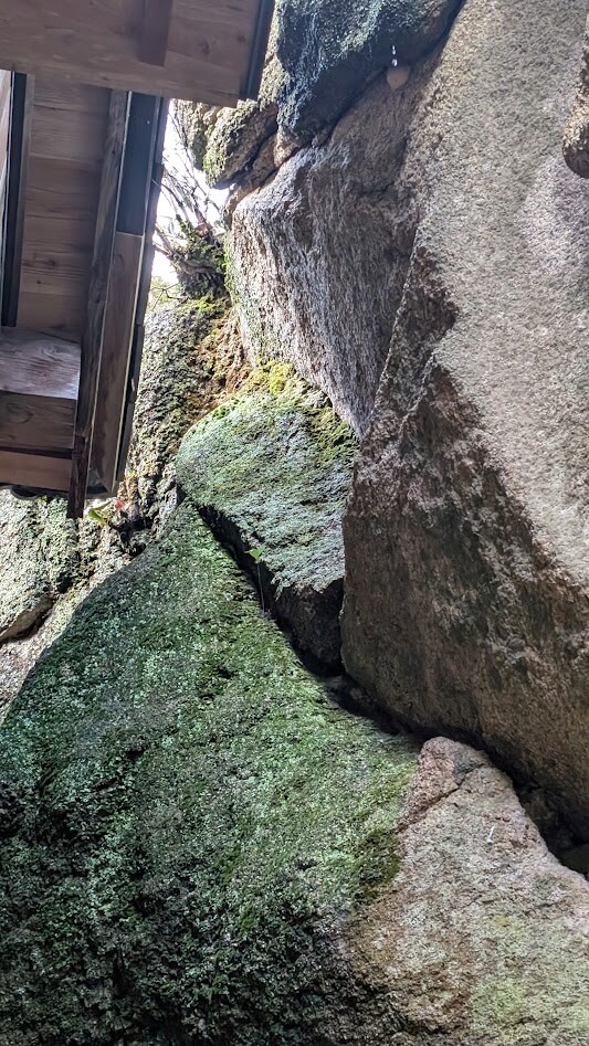 滋賀 湖南市 岩根山不動 巨石 摩崖仏 苔