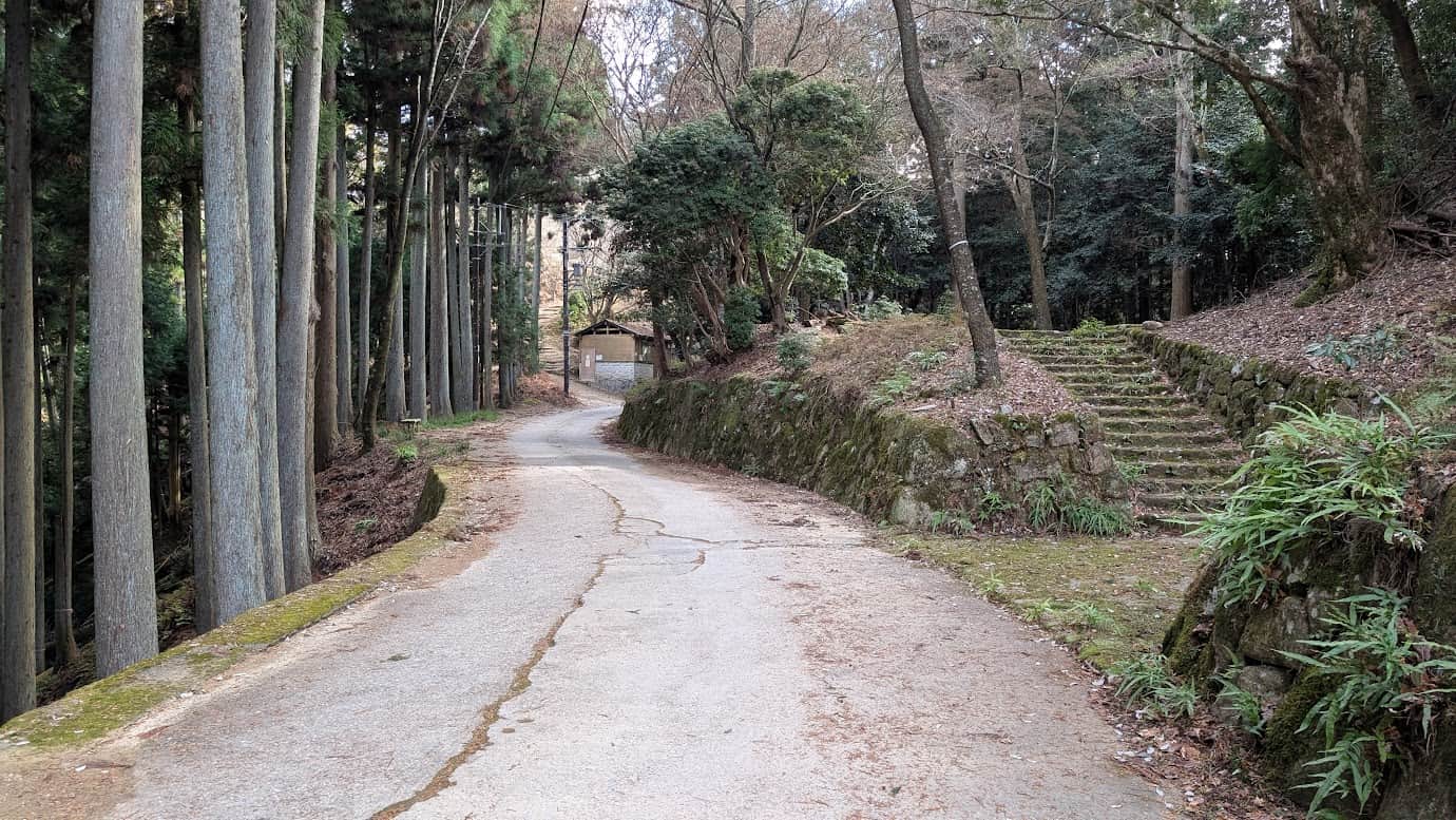 奈良県吉野町、水分神社を出てすぐの山道。右手の石垣の上に「牛頭天王社跡」の石碑が立ち、杉の巨木が並ぶ静かな景観(2026年1月撮影)。