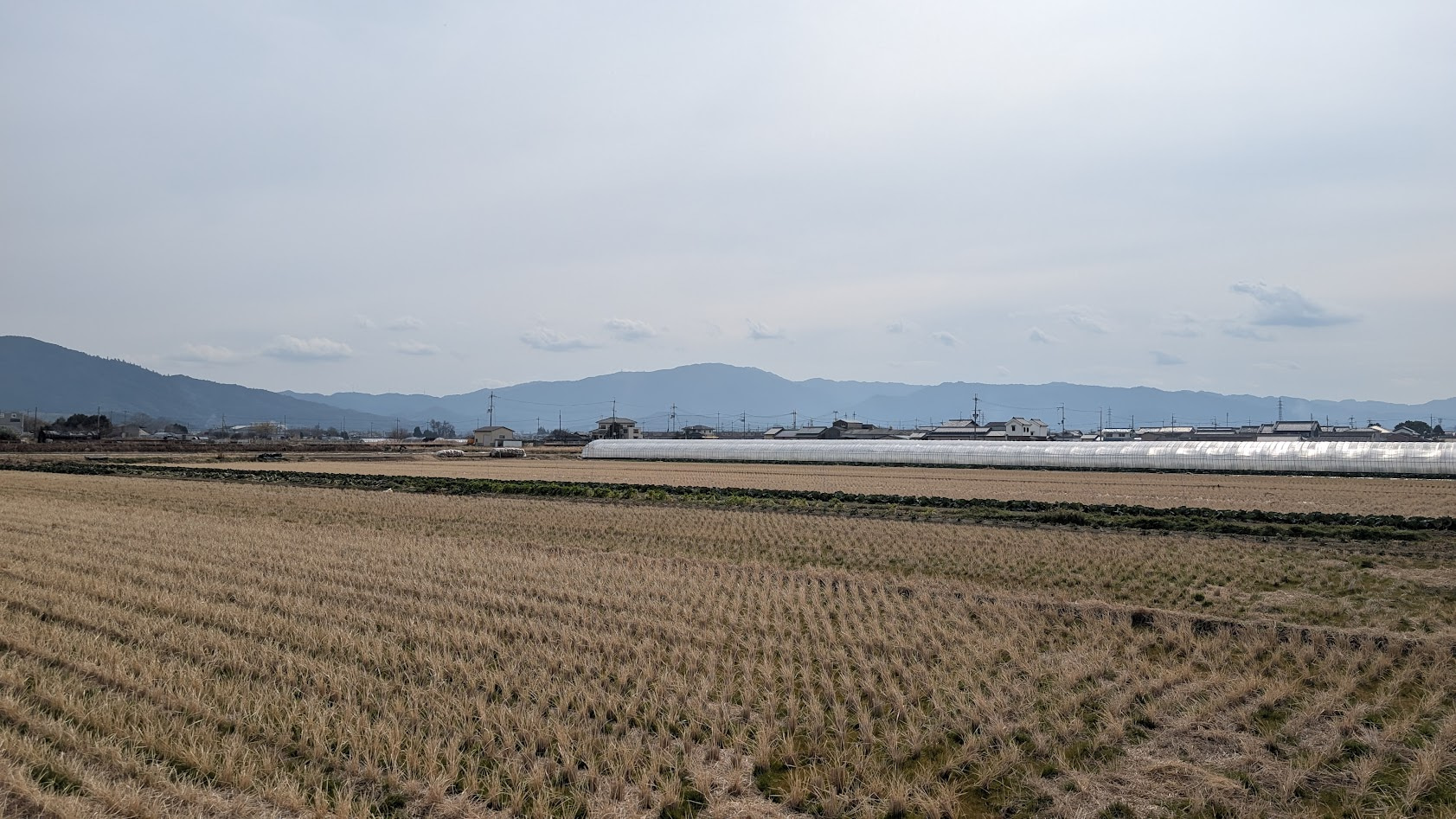 奈良 村屋神社までの道