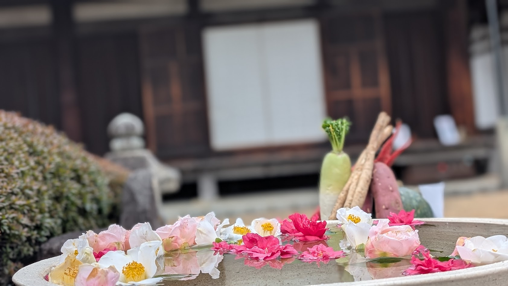 奈良 元興寺 手水舎花と野菜