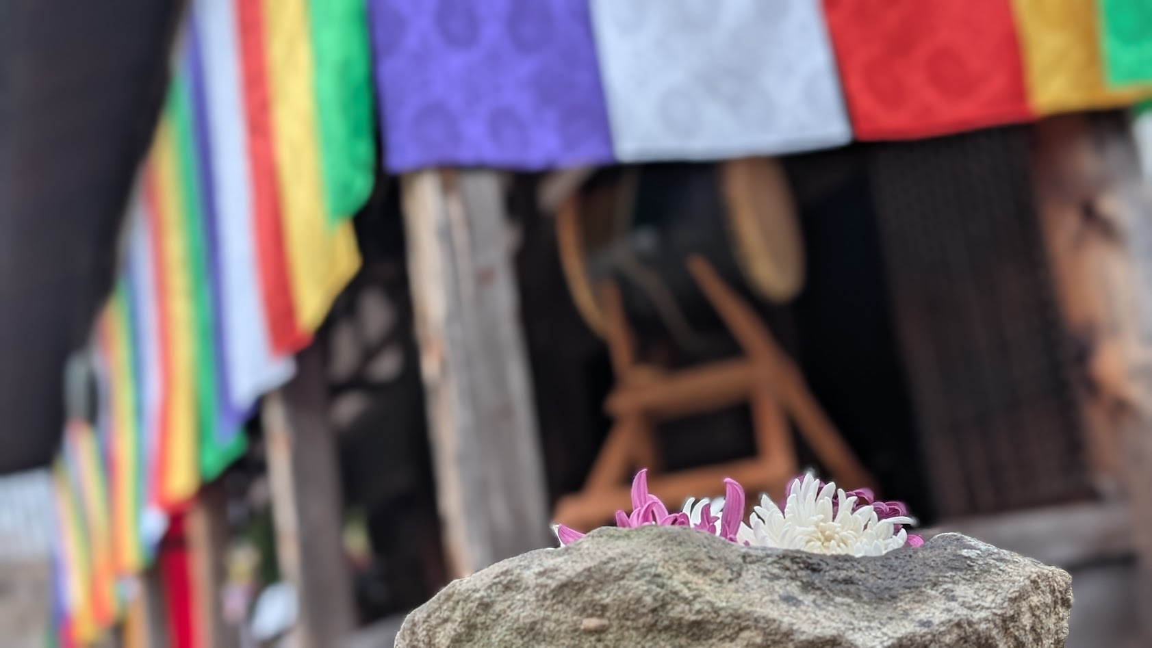 奈良 元興寺 菊の花と蹲と本堂