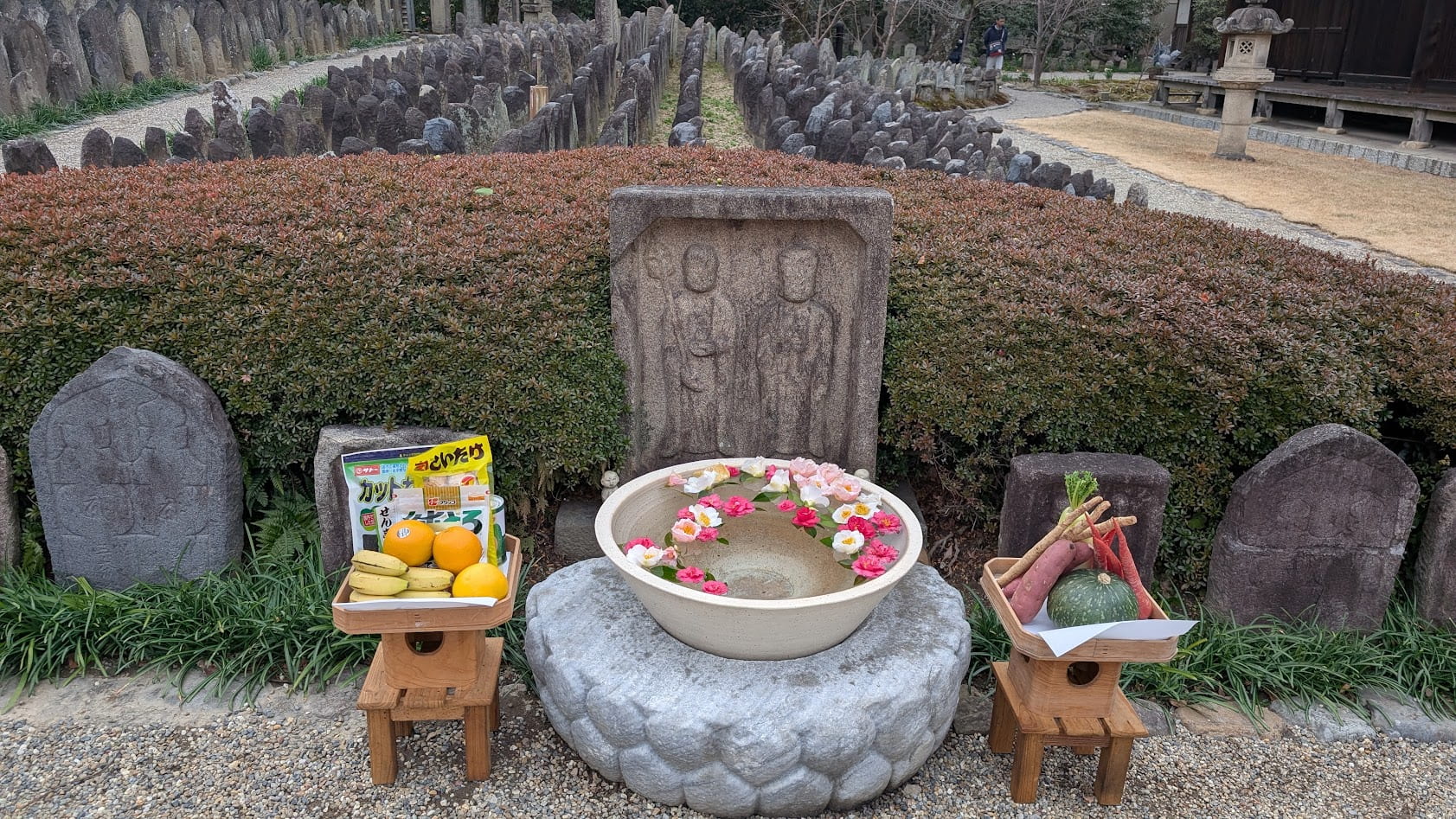奈良 元興寺 手水舎と水仙と山茶花