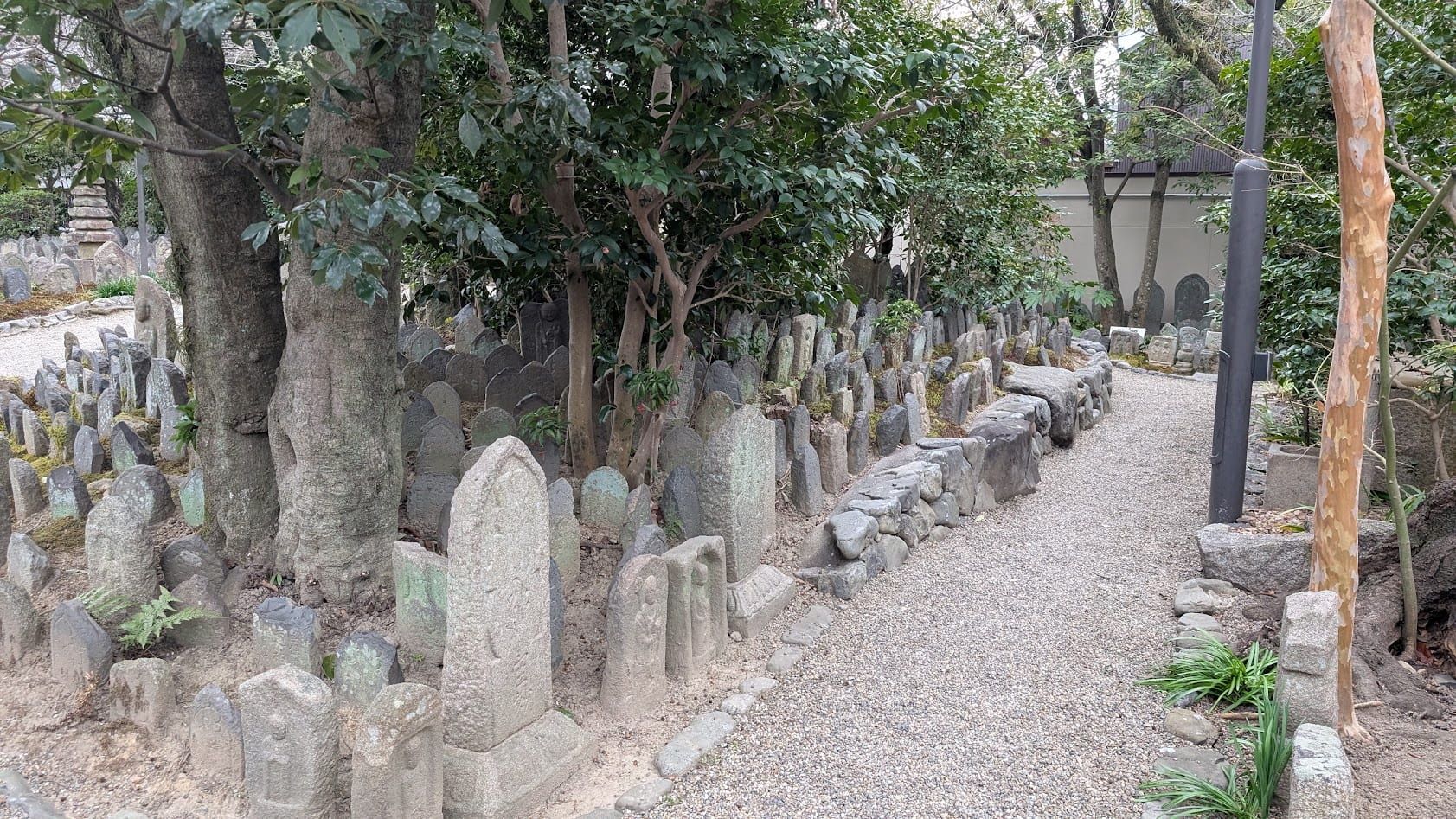 奈良 元興寺 浮図田②