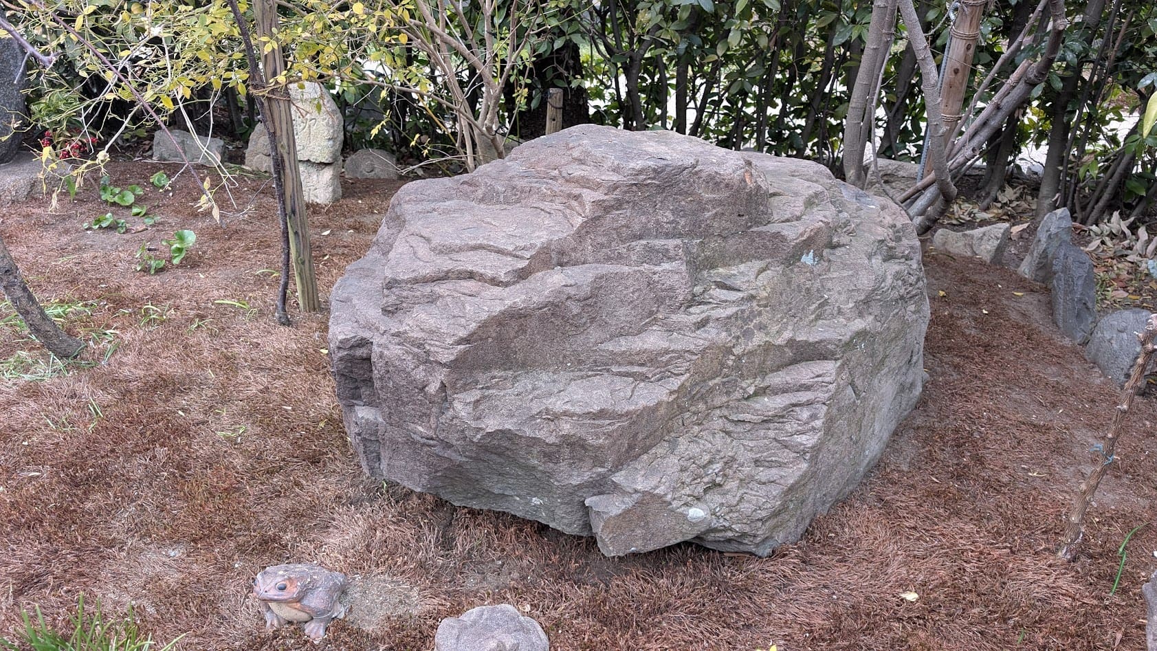 奈良 元興寺 かえる石 正面