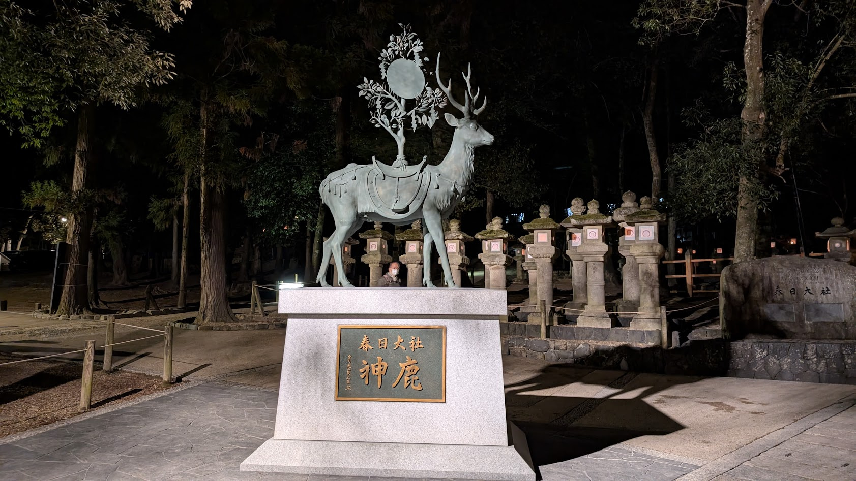 奈良 春日大社 神鹿