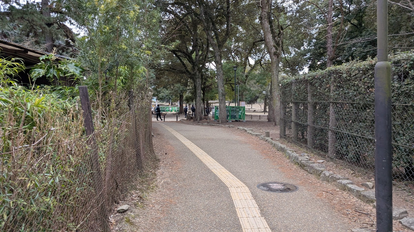 奈良公園内路地