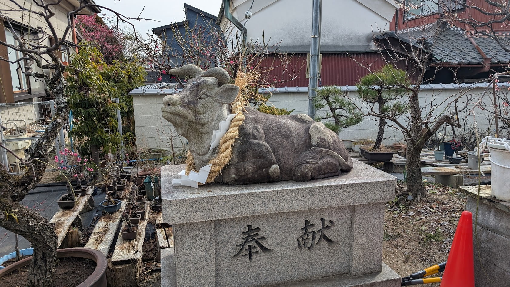 奈良 菅原天満宮 撫で牛