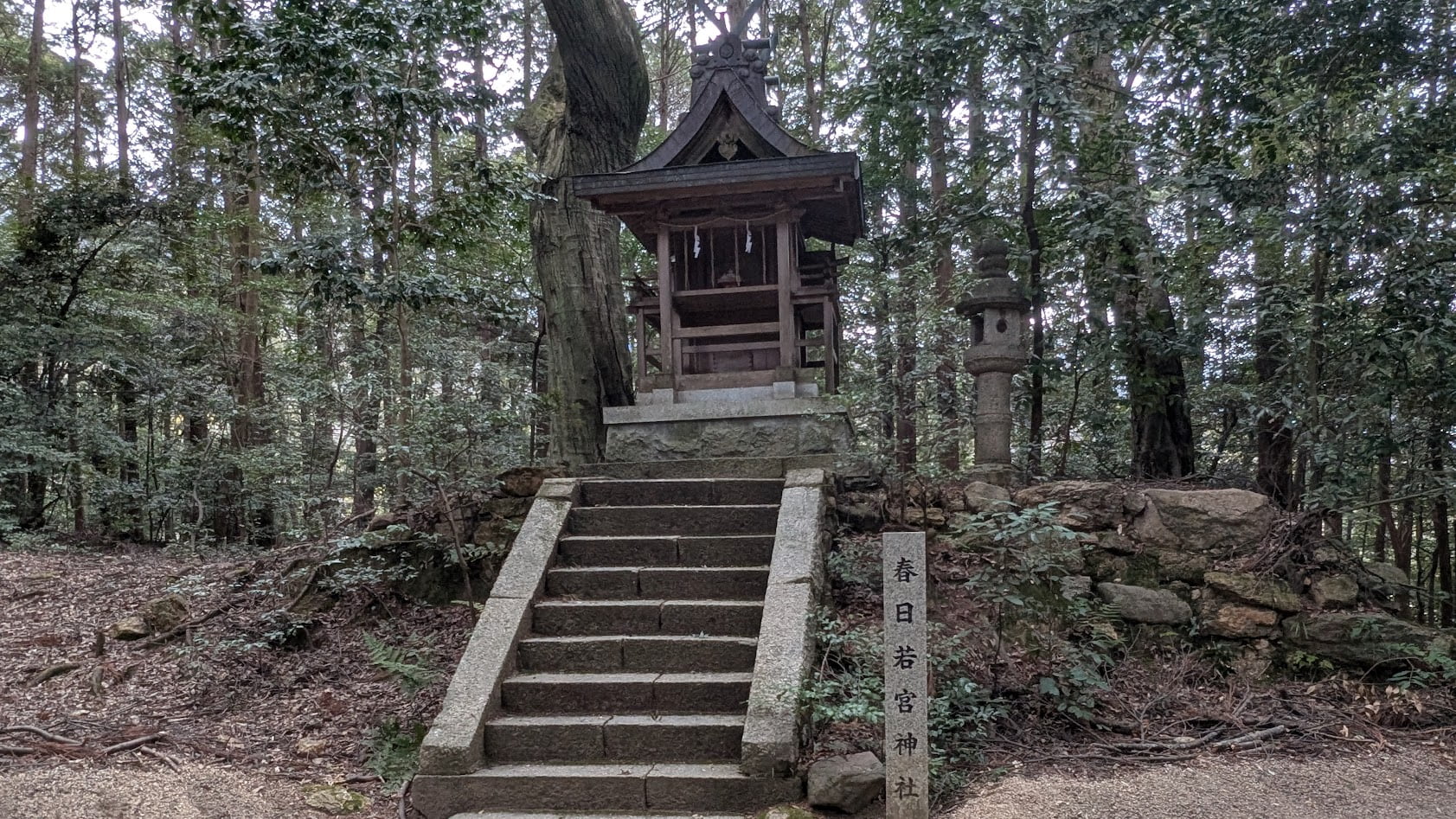 奈良 當麻山口神社の参道に鎮座する境内社・春日若宮神社。鬱蒼とした杜の中に佇む小さくも厳かな木造の社殿
