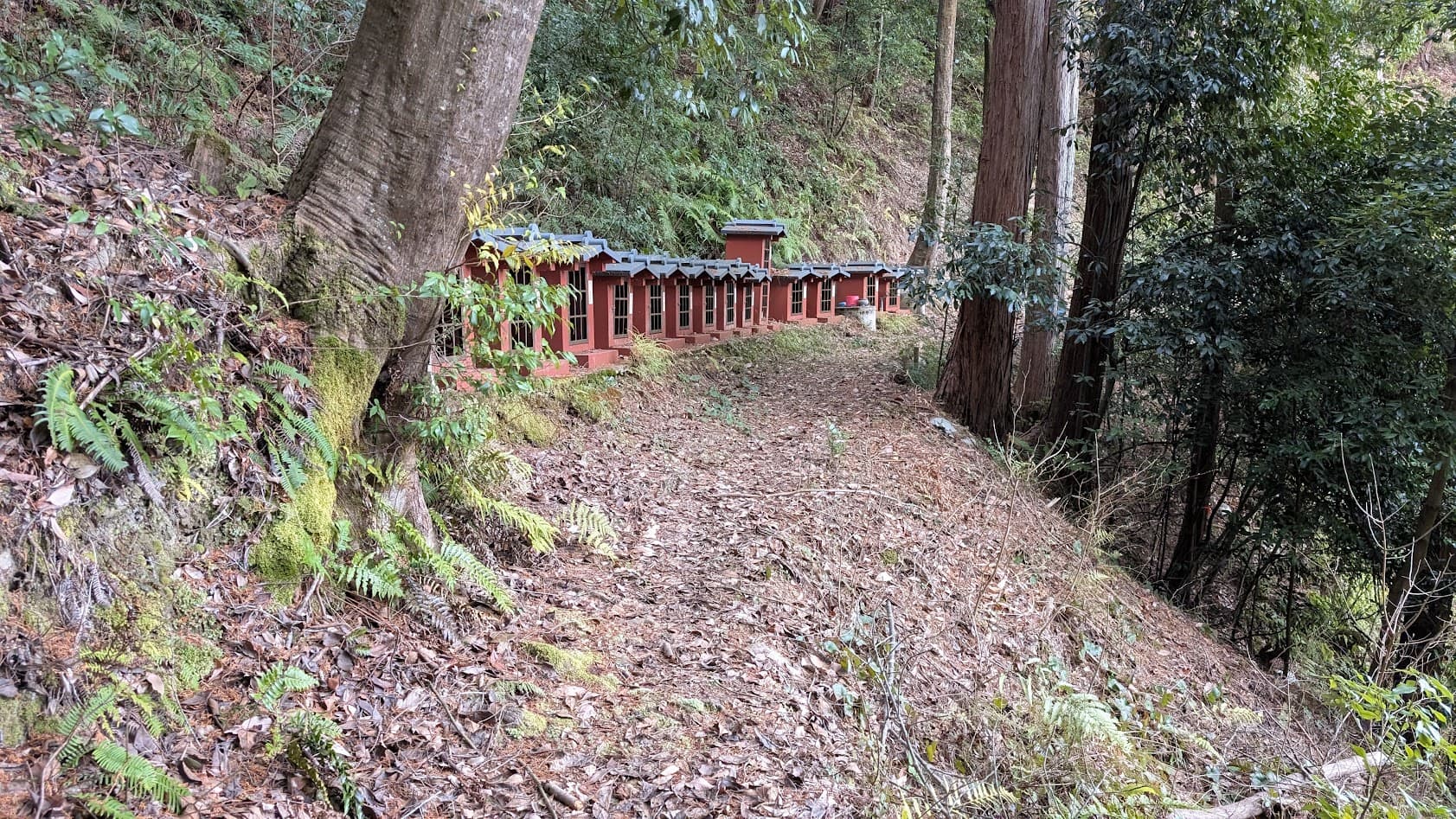 奈良県御所市・峯山百体観音。百番目の巡礼を終えた先に現れる、観音石仏を安置した最後のお堂。
