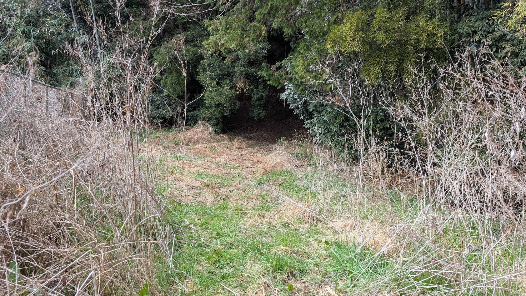 奈良県御所市。峯山百体観音へと続く、森に吸い込まれるような未舗装の山道入り口。