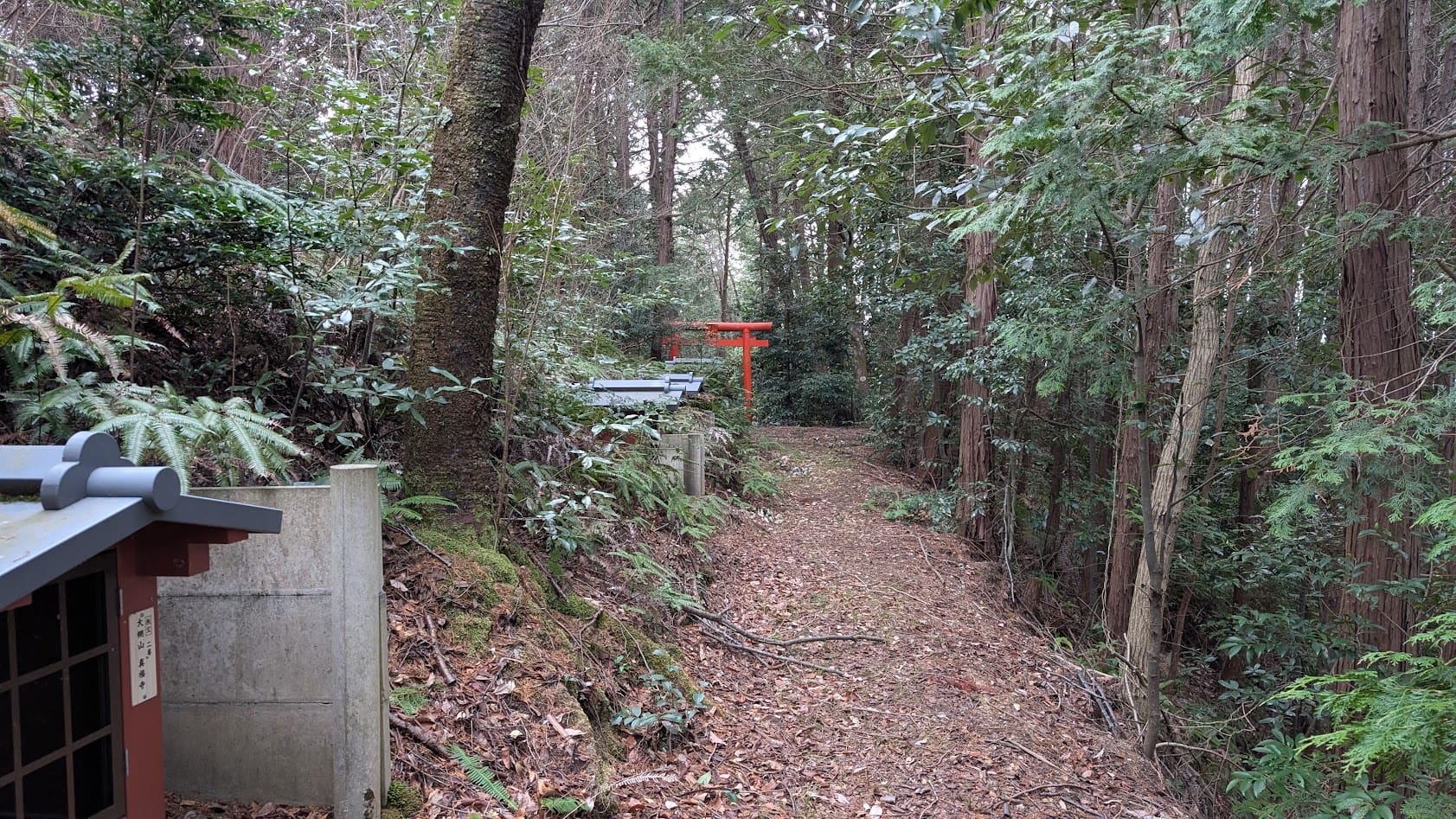 奈良県御所市・峯山百体観音の山道に立つ、八王大明神の赤い鳥居。周囲の緑と対照的な鮮やかな色彩。