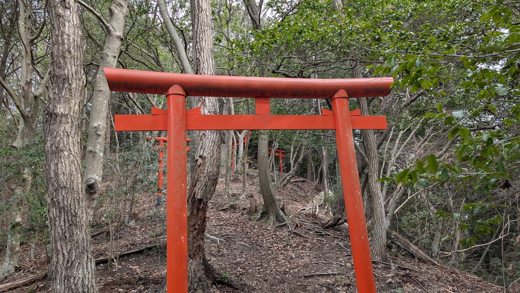 奈良県御所市・峯山百体観音。八王大明神の社へと続く、幾重にも重なる赤い鳥居の風景。