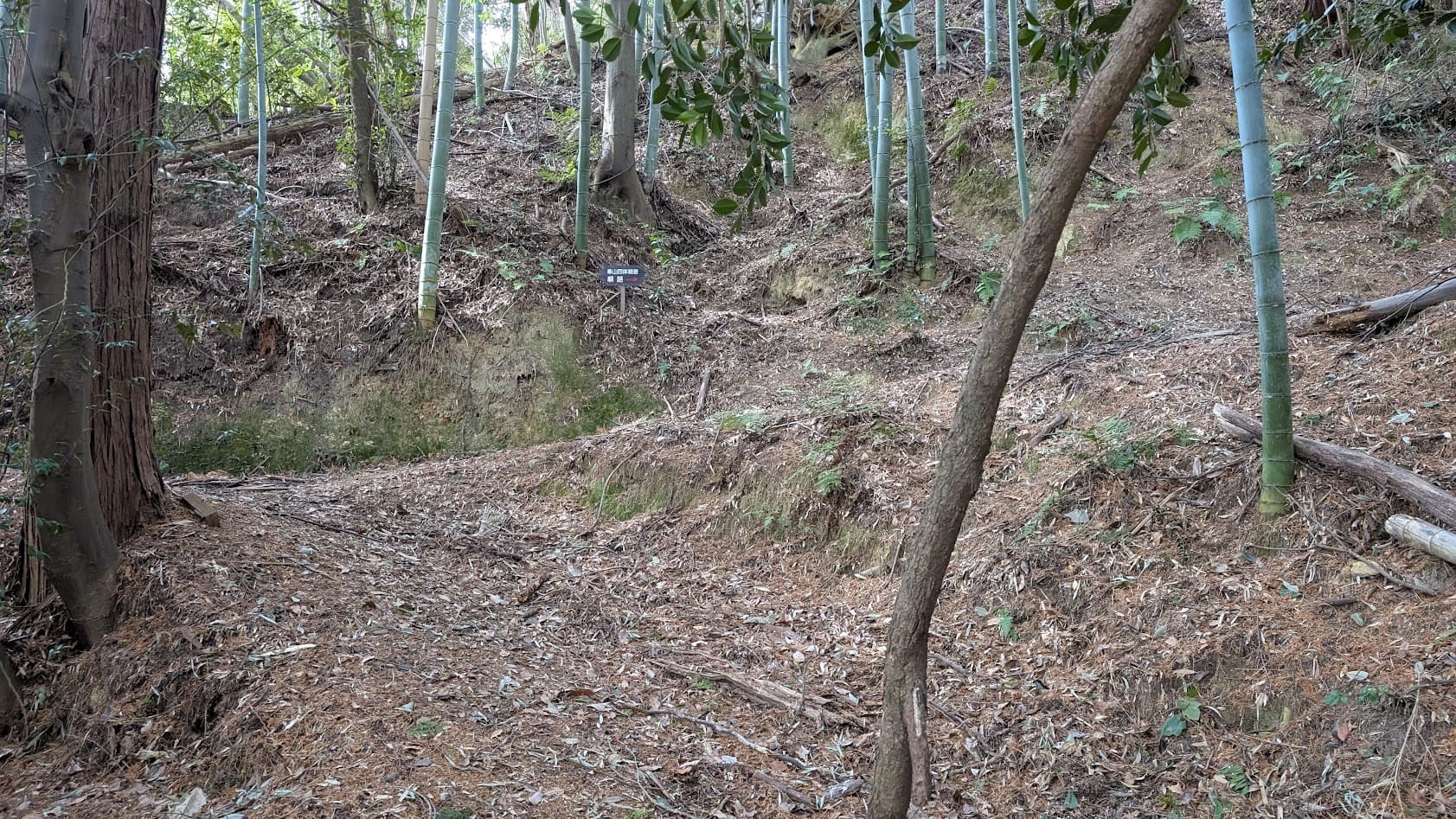 奈良県御所市・峯山百体観音。入口を過ぎると急に険しくなる、未舗装の登り山道。