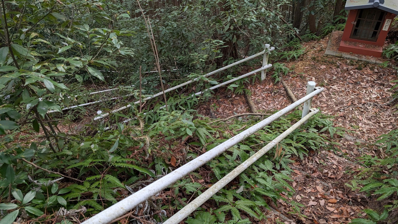 奈良県御所市・峯山百体観音。山肌に沿って設置された、石造りの急な階段。