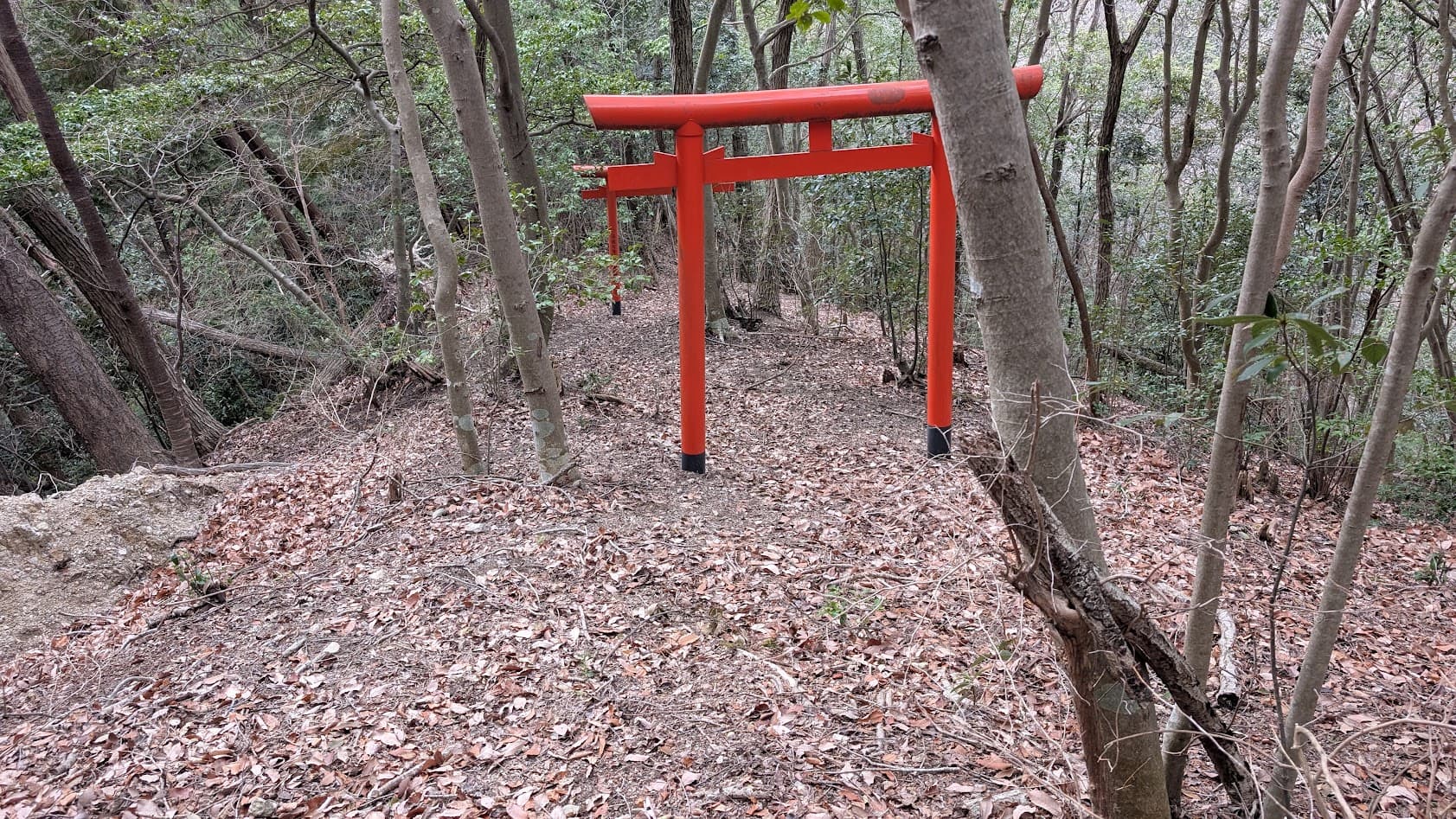 奈良県御所市・峯山百体観音。八王大明神から見下ろす、急斜面に連なる赤い鳥居と険しい参道。
