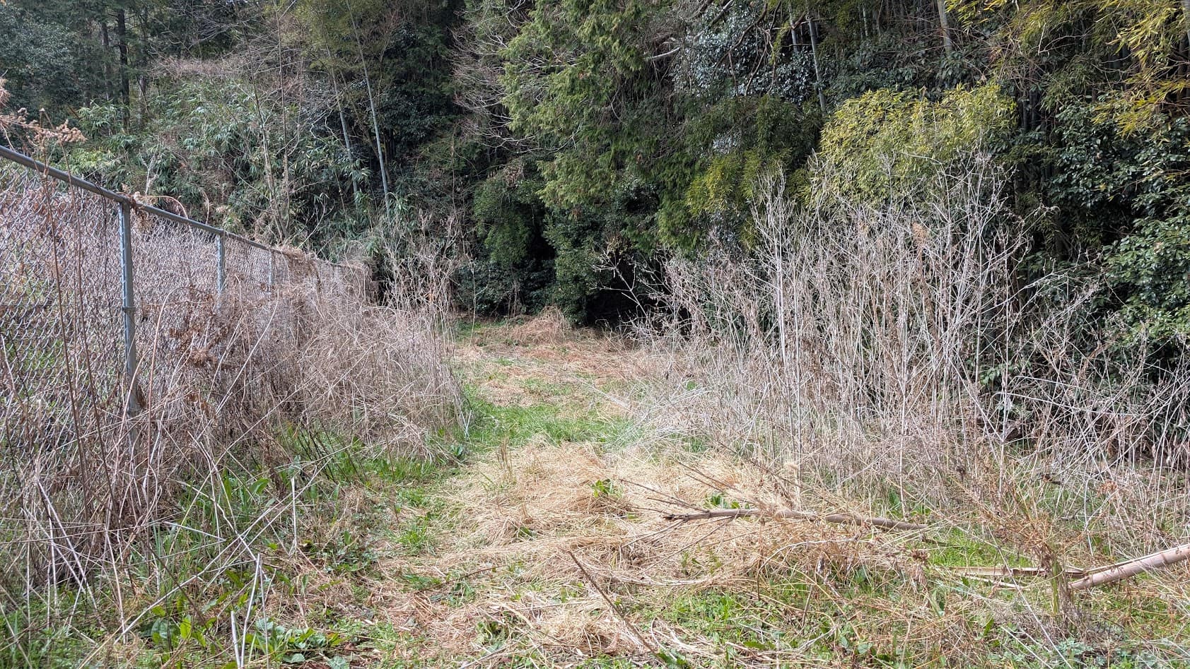 奈良県御所市・峯山百体観音の山道。舗装が途切れ、土と落ち葉の道に変わる地点。