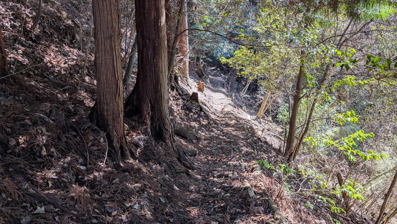 鳳閣寺の境内裏から続く険しい登山道。急な斜面に沿って細い道が続き、周囲には太い杉の木立と落ち葉が積もっている。木漏れ日が地面を照らしている。