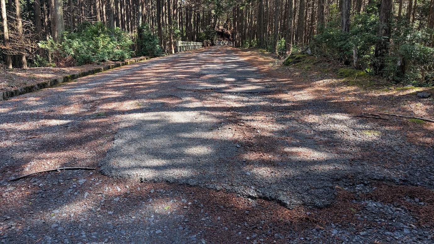 奈良県黒滝村、鳳閣寺へと続く非常に荒れた山道。アスファルトが剥がれて大きな凹凸があり、砂利が露出している。周囲は高い杉林に囲まれ、地面には木漏れ日が落ちている。