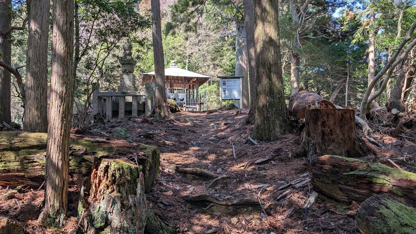 奈良県黒滝村、百貝岳の山中にある鳳閣寺の廟塔。手前には苔むした切り株があり、奥に木造の覆屋に守られた石造十三重塔（国指定重要文化財）が見える。周囲は深い森に包まれている。
