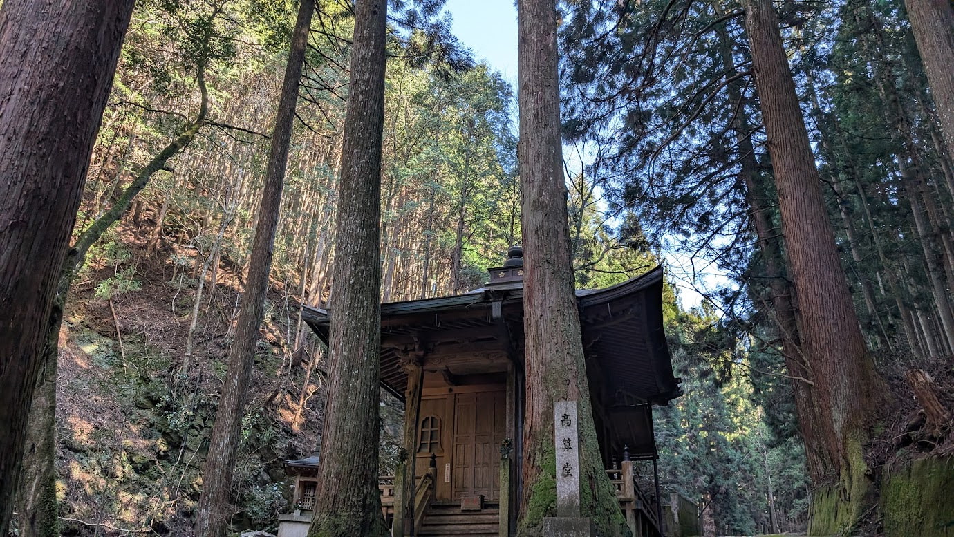 奈良県黒滝村の瀧光寺にある高算堂。巨大な杉の木に挟まれるようにして建つ、趣のある木造のお堂。背景には急斜面の森が広がっている。