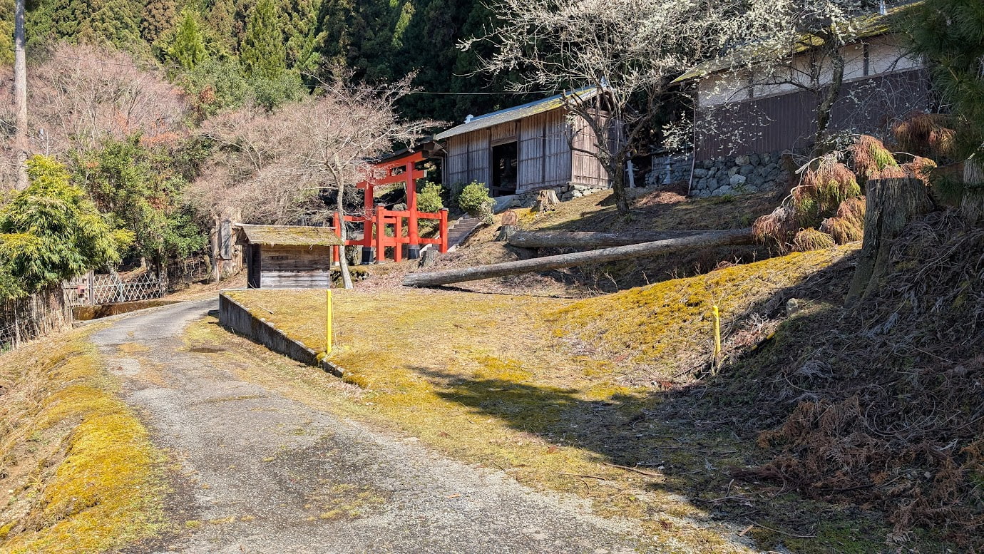 奈良県黒滝村、鳥住春日神社の前にある小さな駐車スペース。地面は草に覆われており、車1〜2台が停められる程度の広さ。周囲は深い杉林に囲まれている。