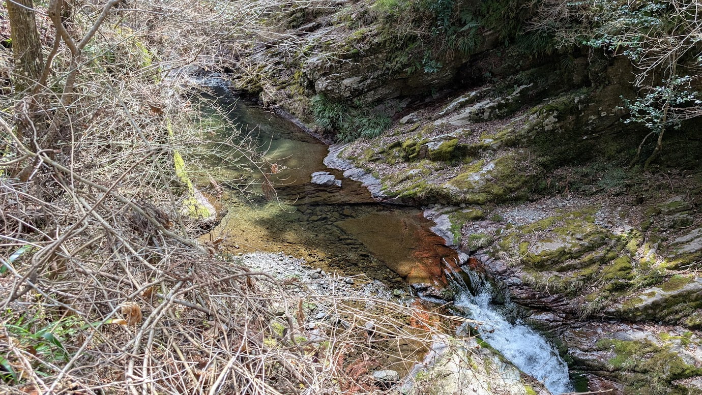 奈良県黒滝村の赤岩渓谷を流れる黒滝川（丹生川上流）。透き通った水が岩の間を流れ、周囲には苔むした巨石と深い緑の木々が広がっている。