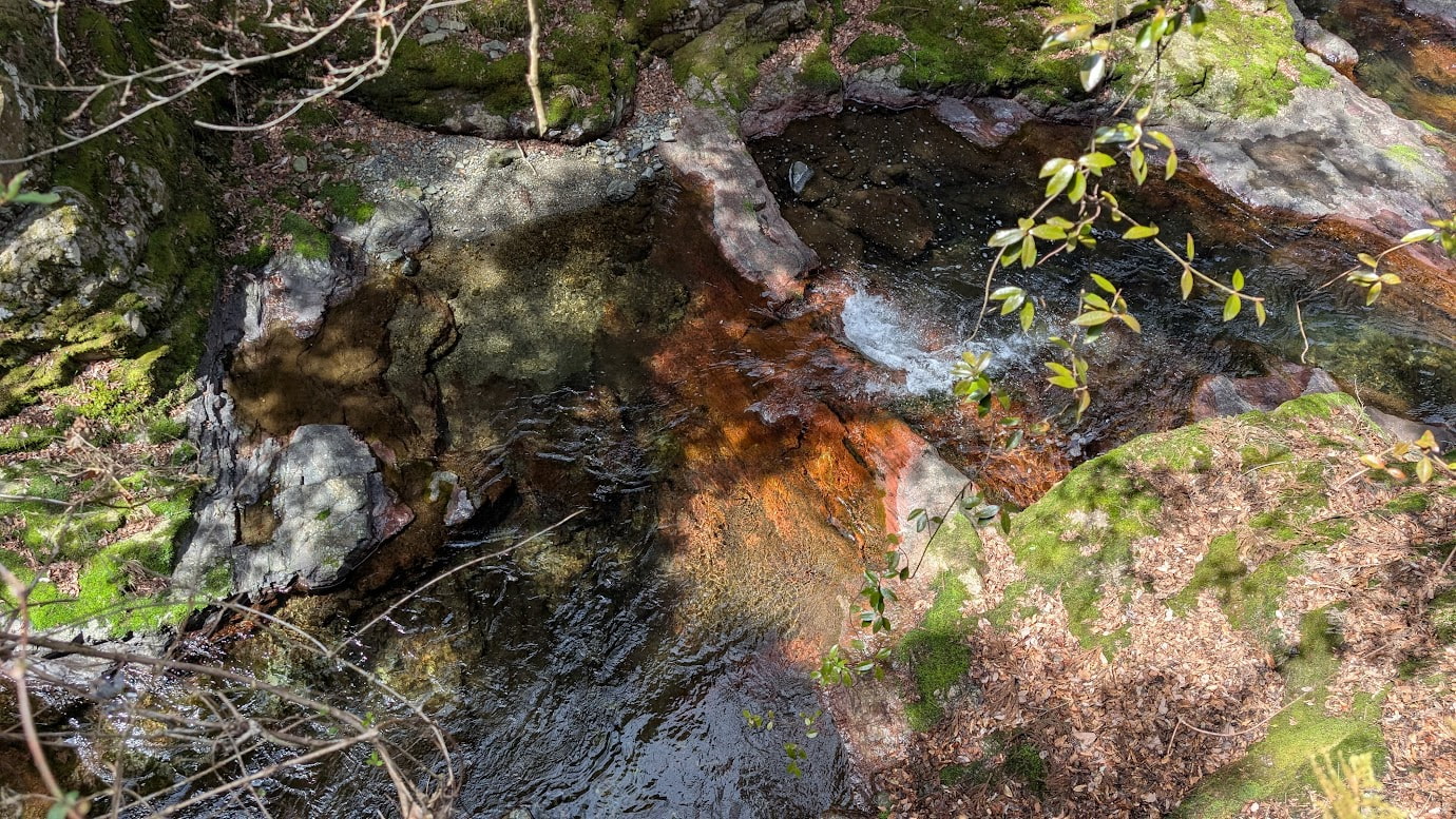 奈良県黒滝村の赤岩渓谷。少し高い位置から川を見下ろした写真。透明度の高い水が流れ、川底の赤い岩や緑の苔がはっきりと見えている。右上には新緑の枝が写り込んでいる。