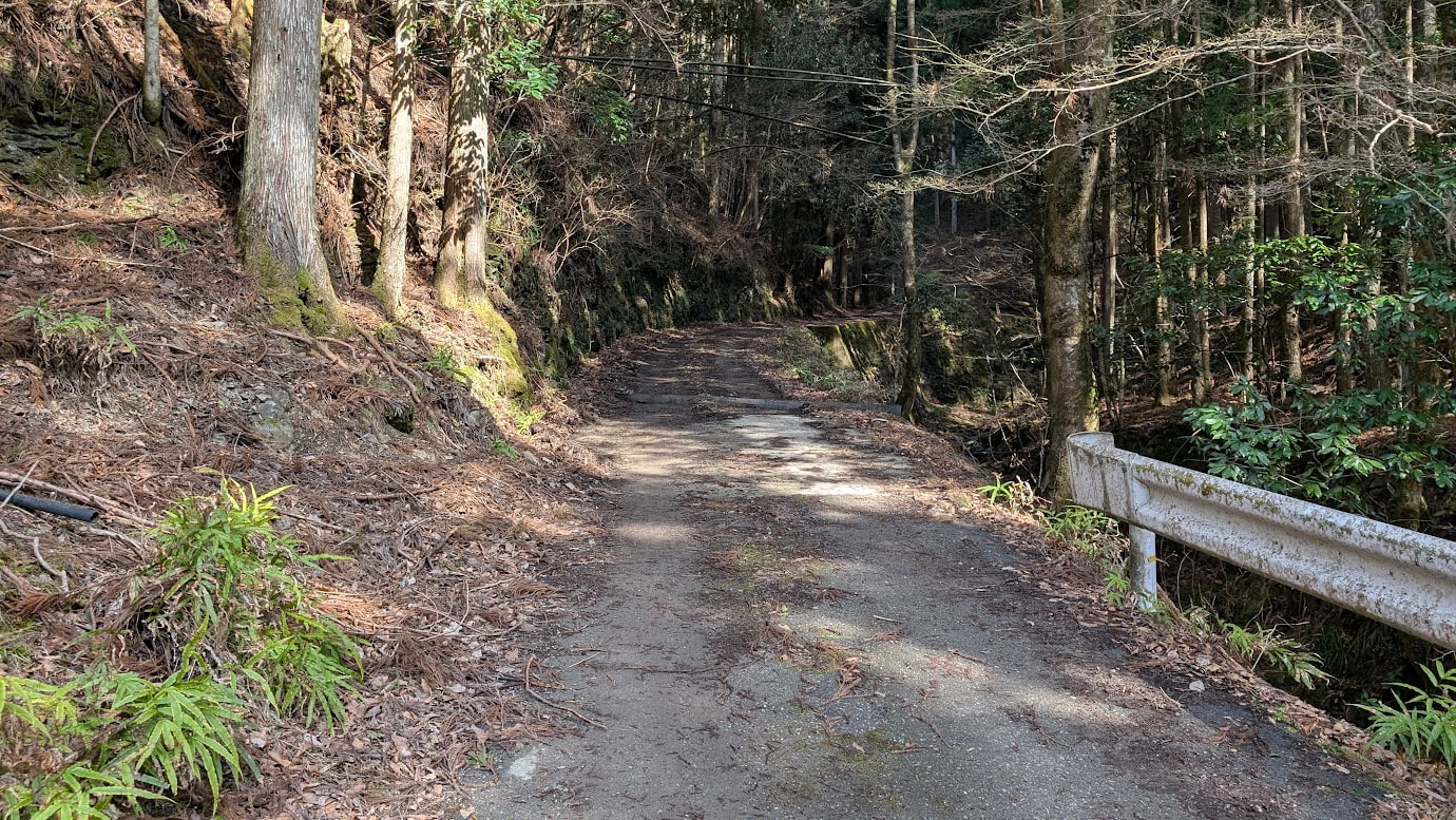 奈良県黒滝村、フロウの滝へと続く入口付近の道。路面は荒れており、落ち葉や枝が散乱している。右側には古いガードレール、左側にはシダが茂る斜面と杉林が広がっている。
