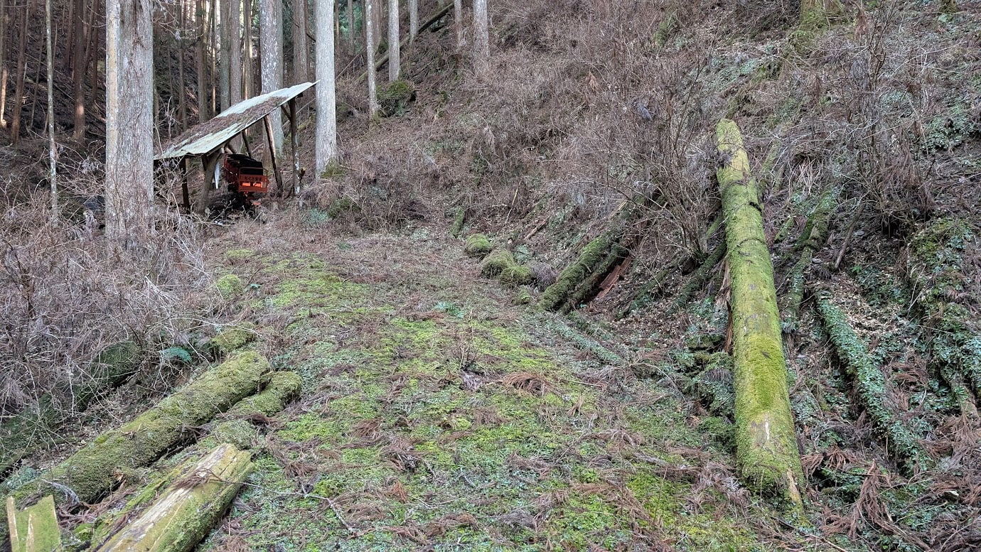 奈良県黒滝村、フロウの滝へ向かう途中の行き止まり。地面や倒木が深い緑の苔に覆われており、奥の小さな小屋には古い運搬車が放置されている。周囲は密生した杉林。