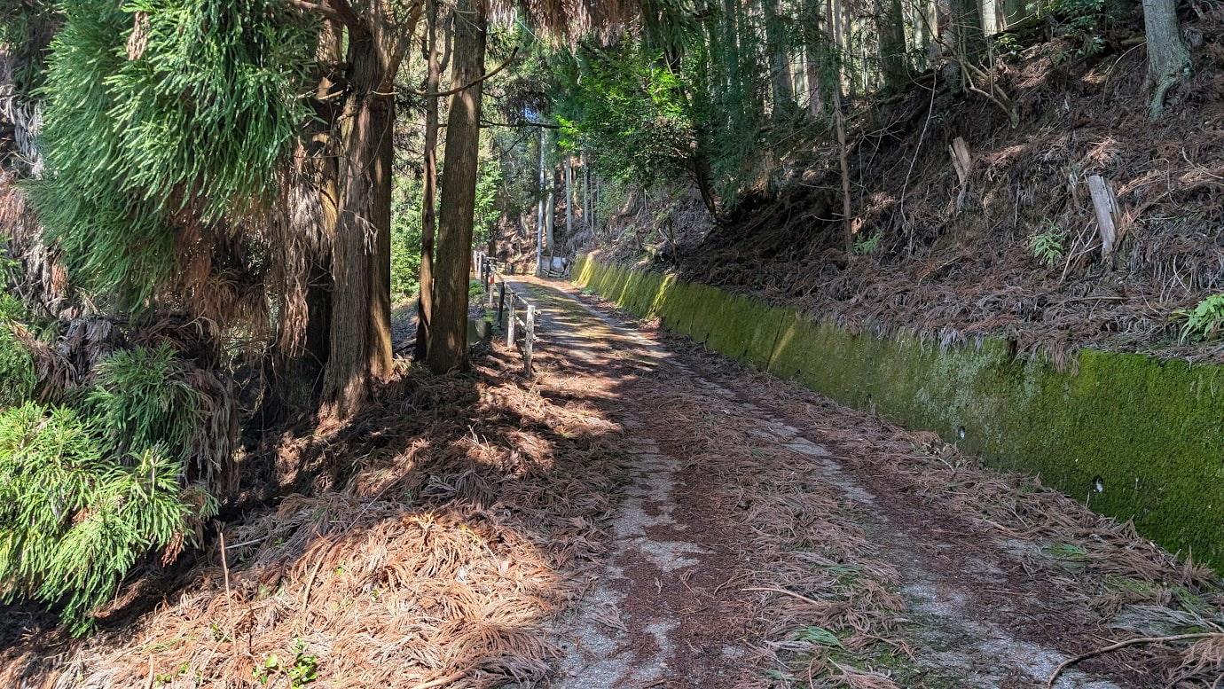 奈良県黒滝村、鳳閣寺へと続く極めて荒れた山道の入り口。路面は大量の枯れ枝や杉の葉で覆われ、左側には深い谷、右側には苔むした土留めがある。車が通れるギリギリの幅しかない。