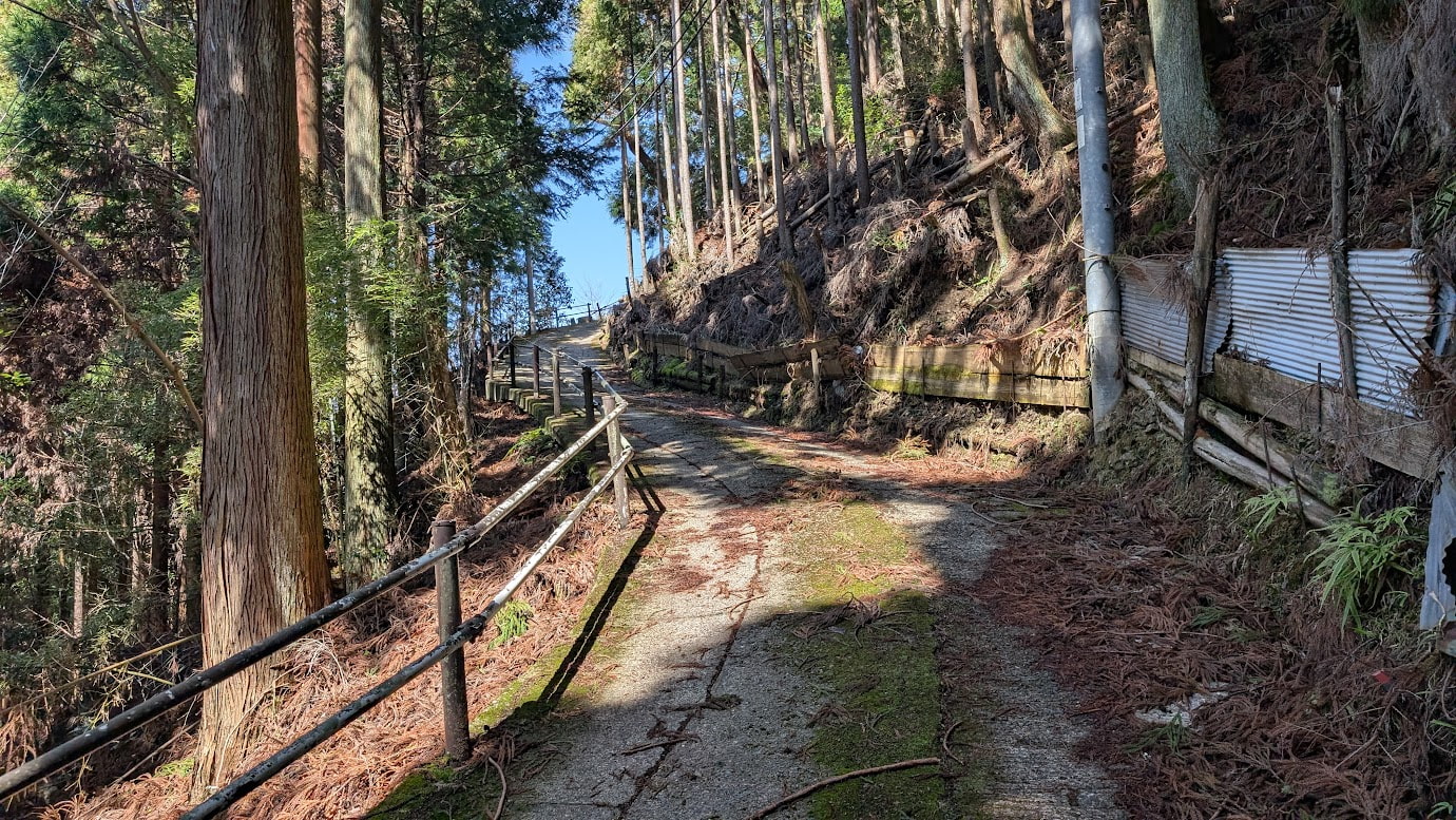 奈良県黒滝村、鳳閣寺へと続く急勾配の山道。コンクリートの路面は苔むし、左側には簡易的な金属の柵、右側には切り立った斜面とトタン板の土留めがある。