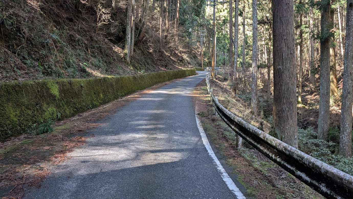 奈良県黒滝村、鳥住春日神社と鳳閣寺へ向かう細い舗装路。左側には高く苔むした石垣が続き、右側にはガードレールと深い杉林がある。車一台が通れる程度の道幅。