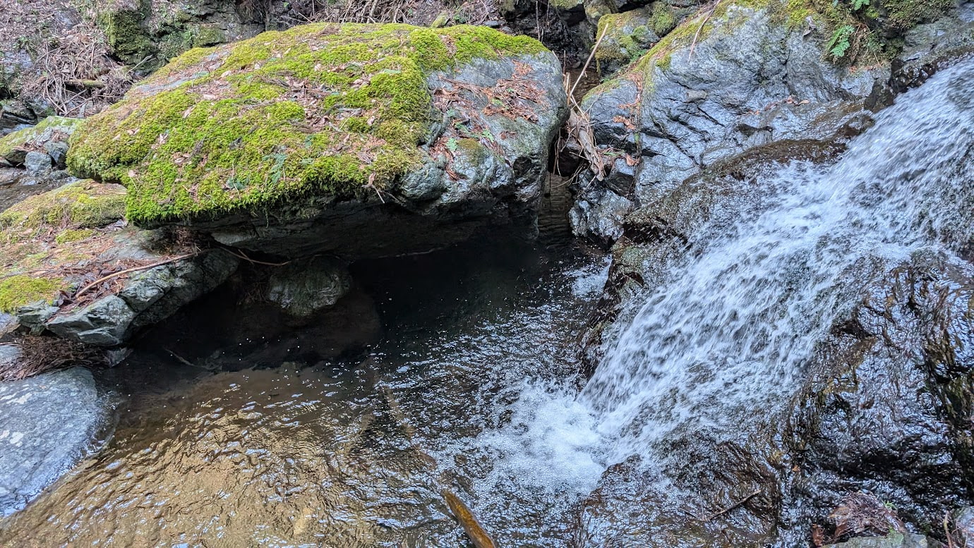 黒滝村の村道脇を流れる渓流。苔がびっしりと生えた巨岩の間を、透き通った水が小さな滝となって流れ落ちている。
