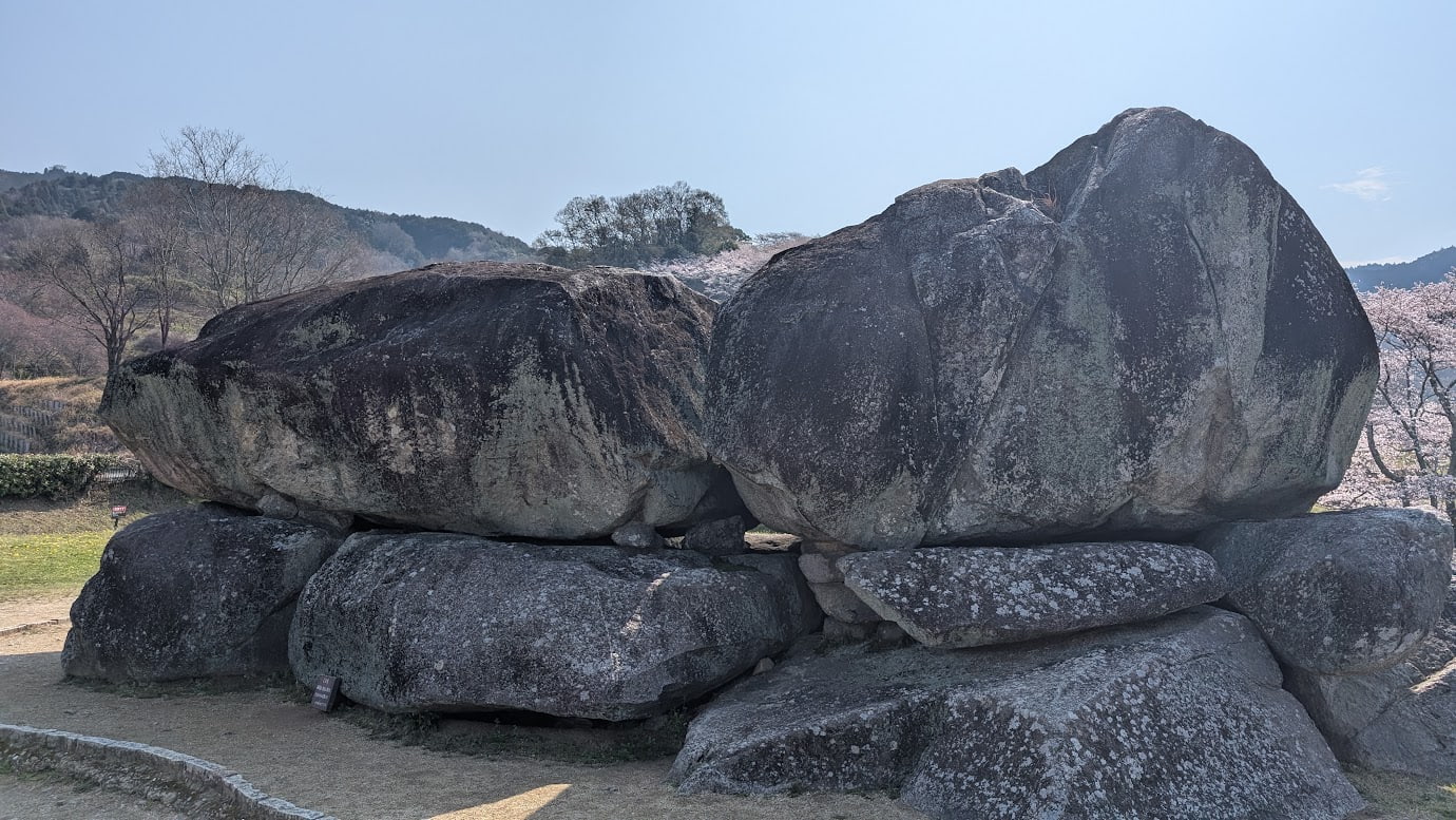 奈良県明日香村、石舞台古墳の石室を真横からアップで捉えた風景。巨大な平らな石が積み上げられた様子と、その背後に広がる満開のソメイヨシノ。青空の下、古代の巨石構造と春の桜が美しく調和している（2026年3月30日撮影）。