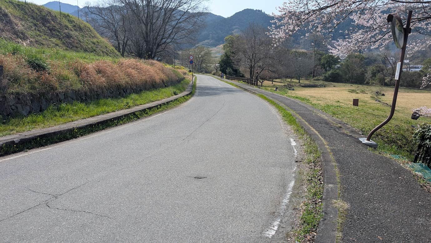 奈良県明日香村、石舞台古墳のすぐ北側を通る舗装された道路。車道の脇にしっかりと区切られた歩道があり、右側には桜並木と広々とした野原が広がっている。遠くには飛鳥の山々が見える春の散策路(2026年3月30日撮影)。