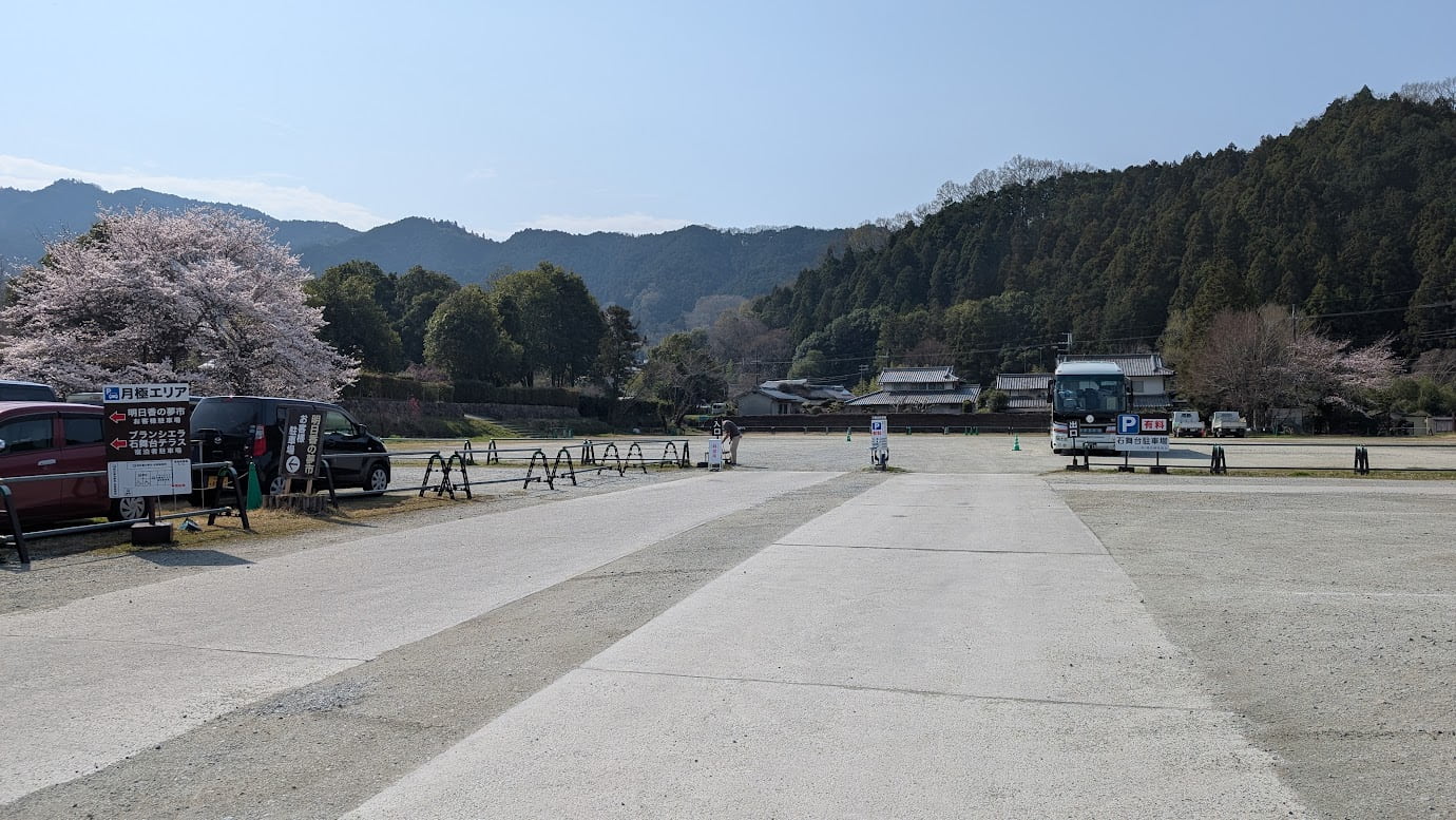 奈良県明日香村、石舞台古墳の有料駐車場。広大な敷地が広がり、大型バスや多くの乗用車が駐車可能。地面は未舗装の砂利だが、通路はコンクリートで整備されており、周囲には満開の桜と飛鳥の山々が見える風景（2026年3月30日撮影）。