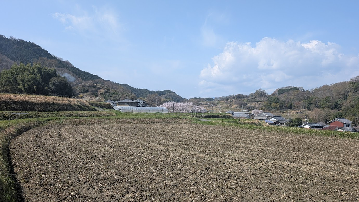 奈良県明日香村、都塚古墳へと続く田舎道。緩やかな坂道の脇に石垣や棚田、伝統的な民家が並び、遠くには飛鳥の柔らかな山並みが広がる。春の穏やかな光に包まれた静かな風景（2026年3月30日撮影）。