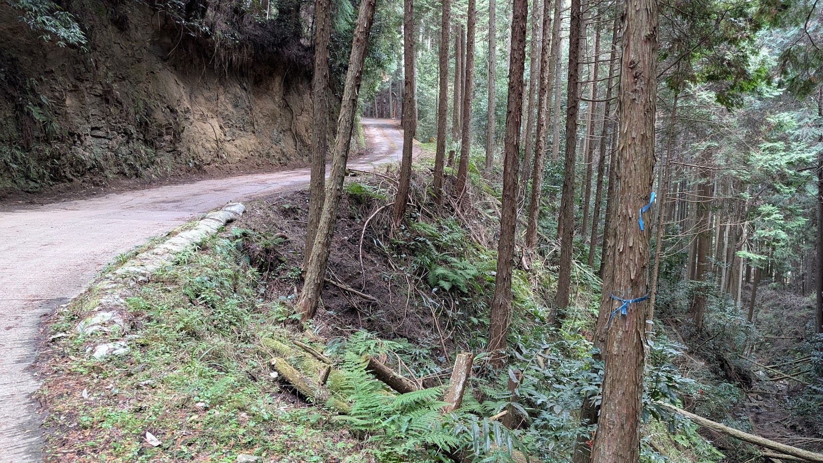 瀧蔵神社へ続く、ガードレールのない極めて狭い山道。すぐ脇が切り立った崖(谷)になっている険しい道並み。