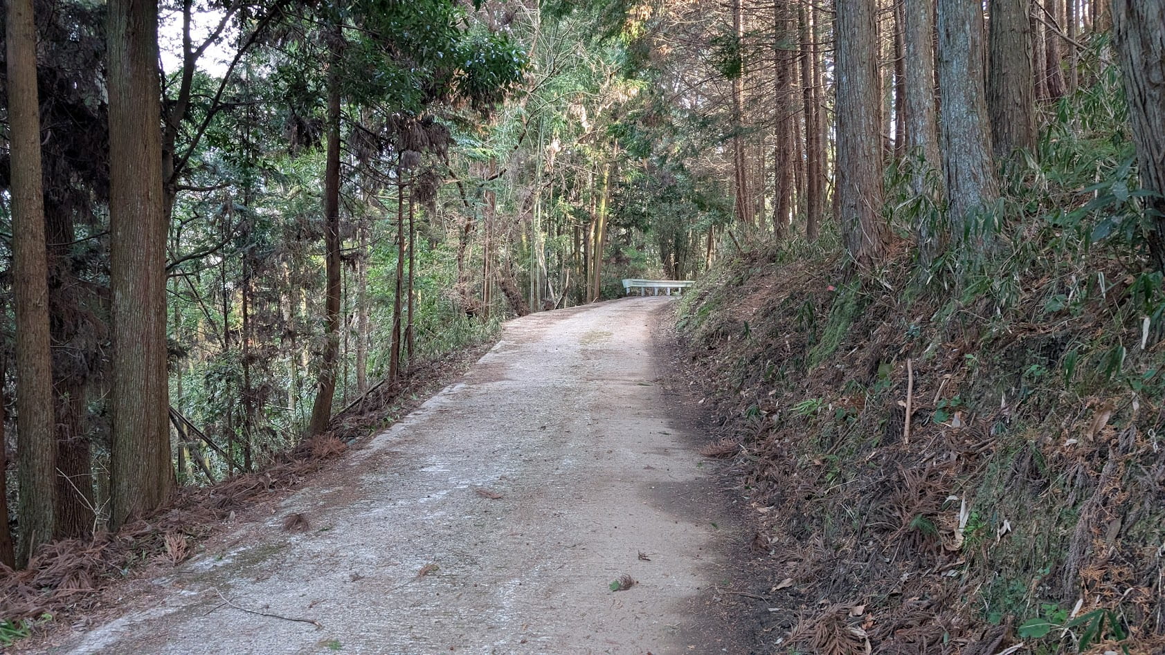瀧蔵神社の駐車場へ至る最後の急なカーブ。車1台分ほどの非常に狭い激坂の道が、駐車場へと繋がっている風景。