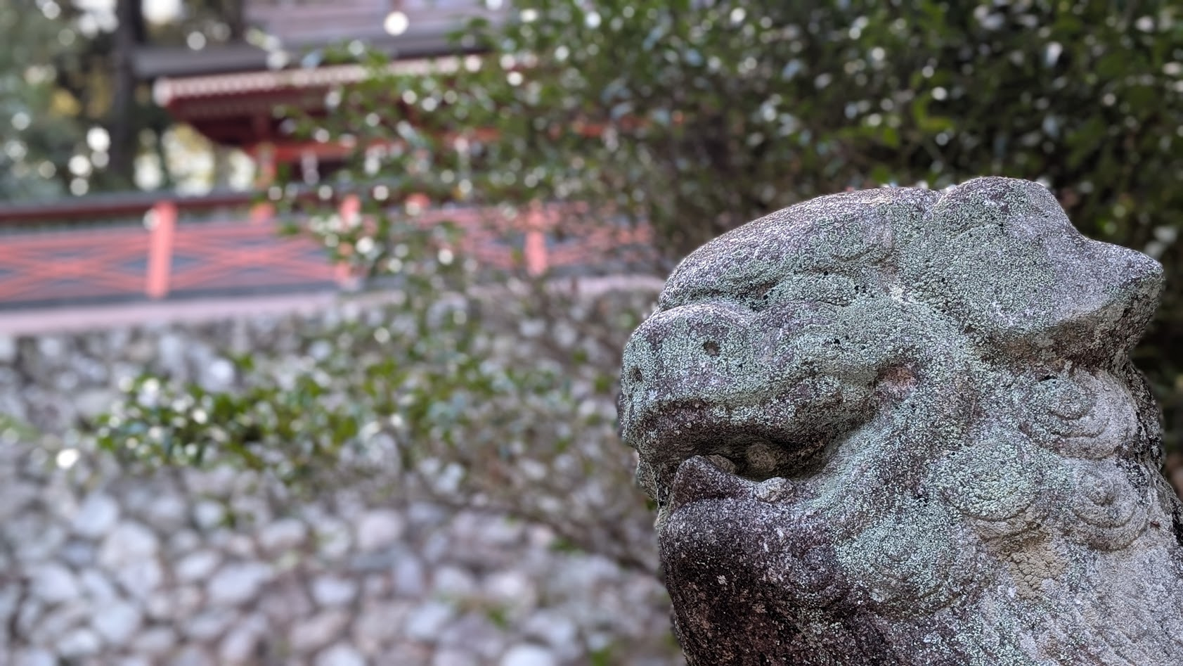 瀧蔵神社の本殿前で睨みをきかせる狛犬のアップと、その背景に静かに佇む重厚な本殿の景観。