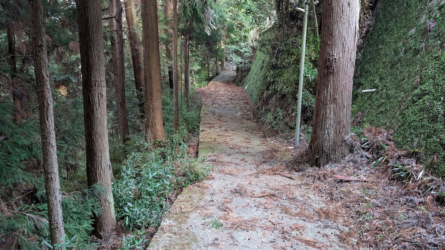 瀧蔵神社の鐘楼から境内へ続く参道。片側には苔むした古い石垣が続き、反対側は深い崖になっている静かな道。