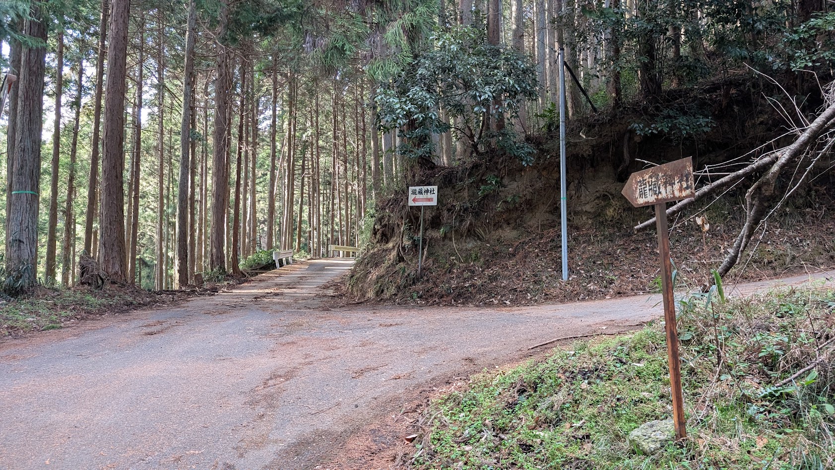 瀧蔵神社へ向かう途中の険しい山道にあるT字路。電柱や立木に設置された「瀧蔵神社」への方向を示す案内板がある分岐点の風景。