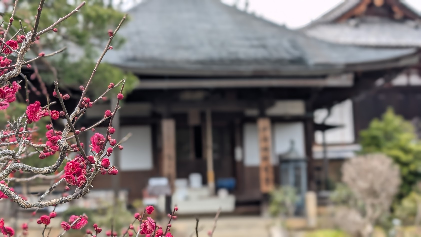 奈良 当麻寺(たいまでら)の中将姫剃髪堂。中将姫が落飾し、仏門に入った伝説の地を包む静寂