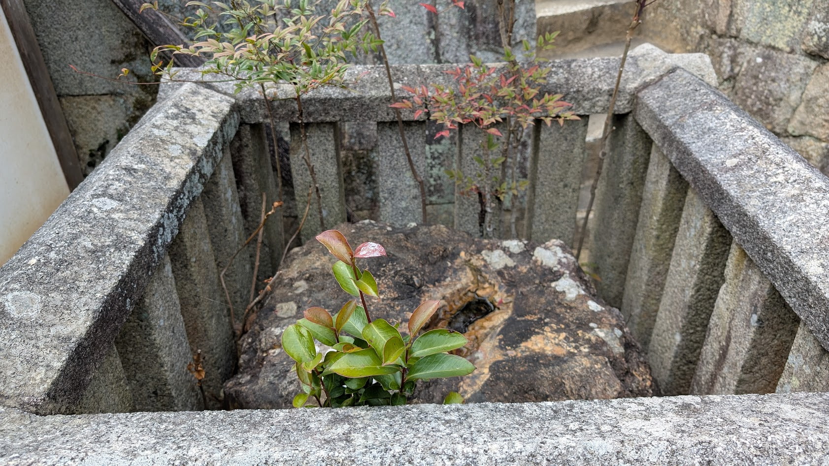 奈良 當麻寺(たいまでら)の中将姫誓いの石。石に深く刻まれた中将姫の足跡(アップ写真)。曼荼羅成就の祈りが奇跡を起こした伝承の跡