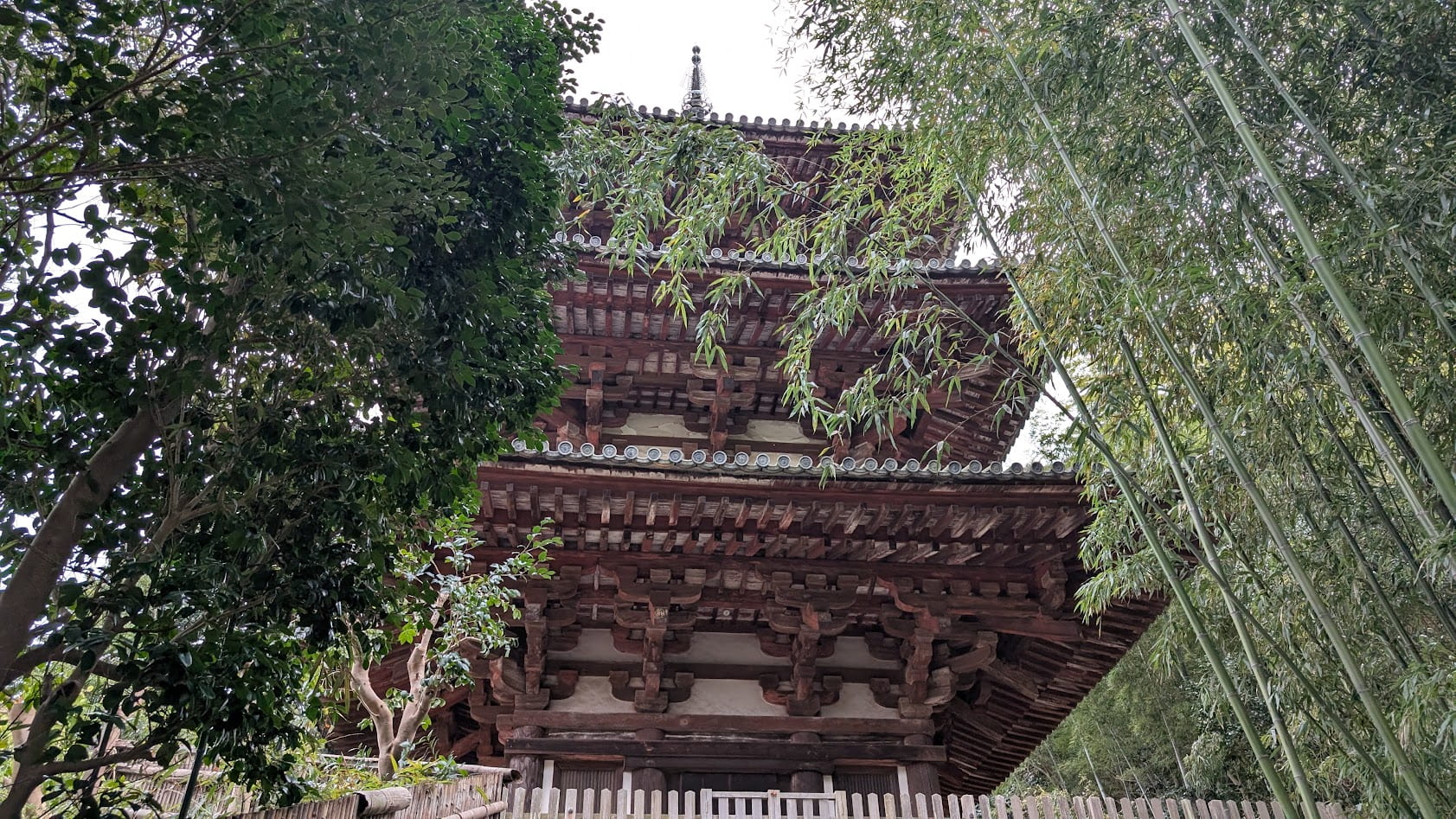 奈良 當麻寺(たいまでら)東塔。竹林の間から見上げる国宝・三重塔(奈良時代・天平建築)の全景と静寂な佇まい