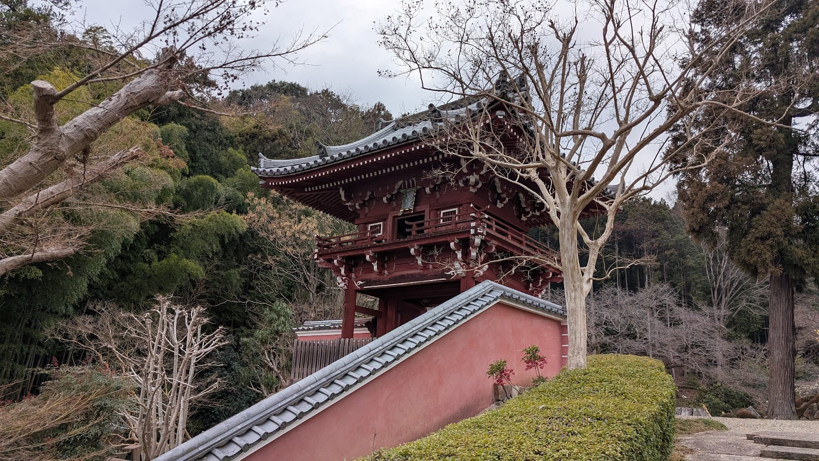 奈良 当麻寺(たいまでら)奥院・楼門のアップ。冬の静寂の中に佇む重厚な門と、手前に広がる百日紅(さるすべり)の枝ぶり