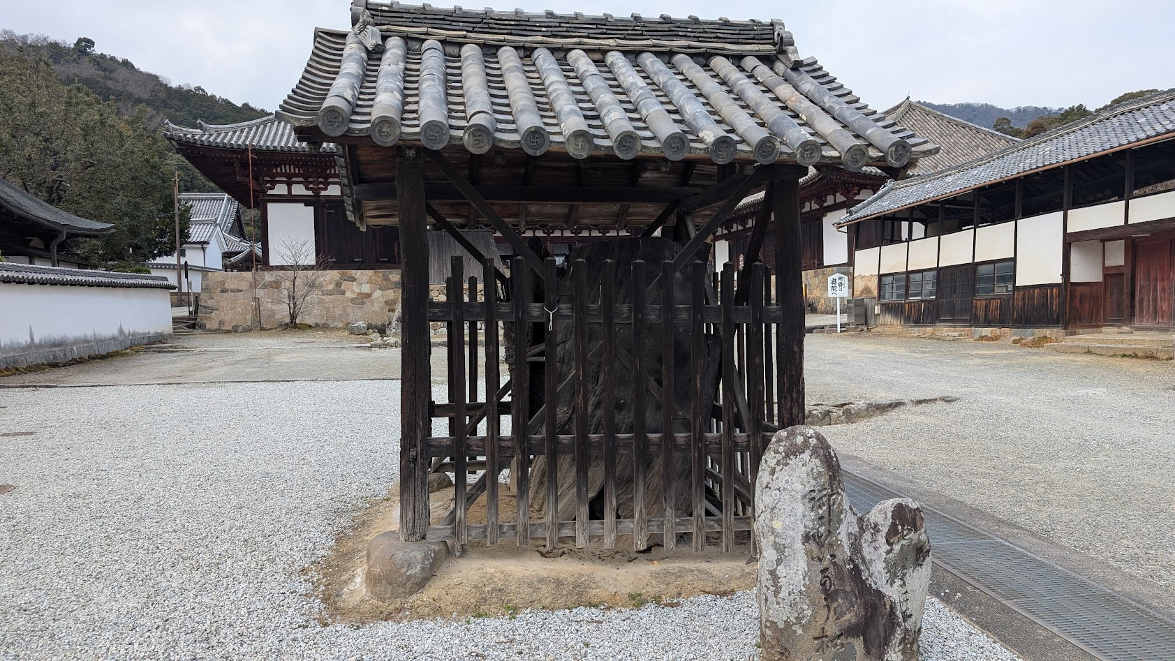 奈良 當麻寺(たいまでら)の来迎松(らいごうまつ)。中将姫の二十五菩薩来迎伝説にまつわる聖なる松と境内の静寂