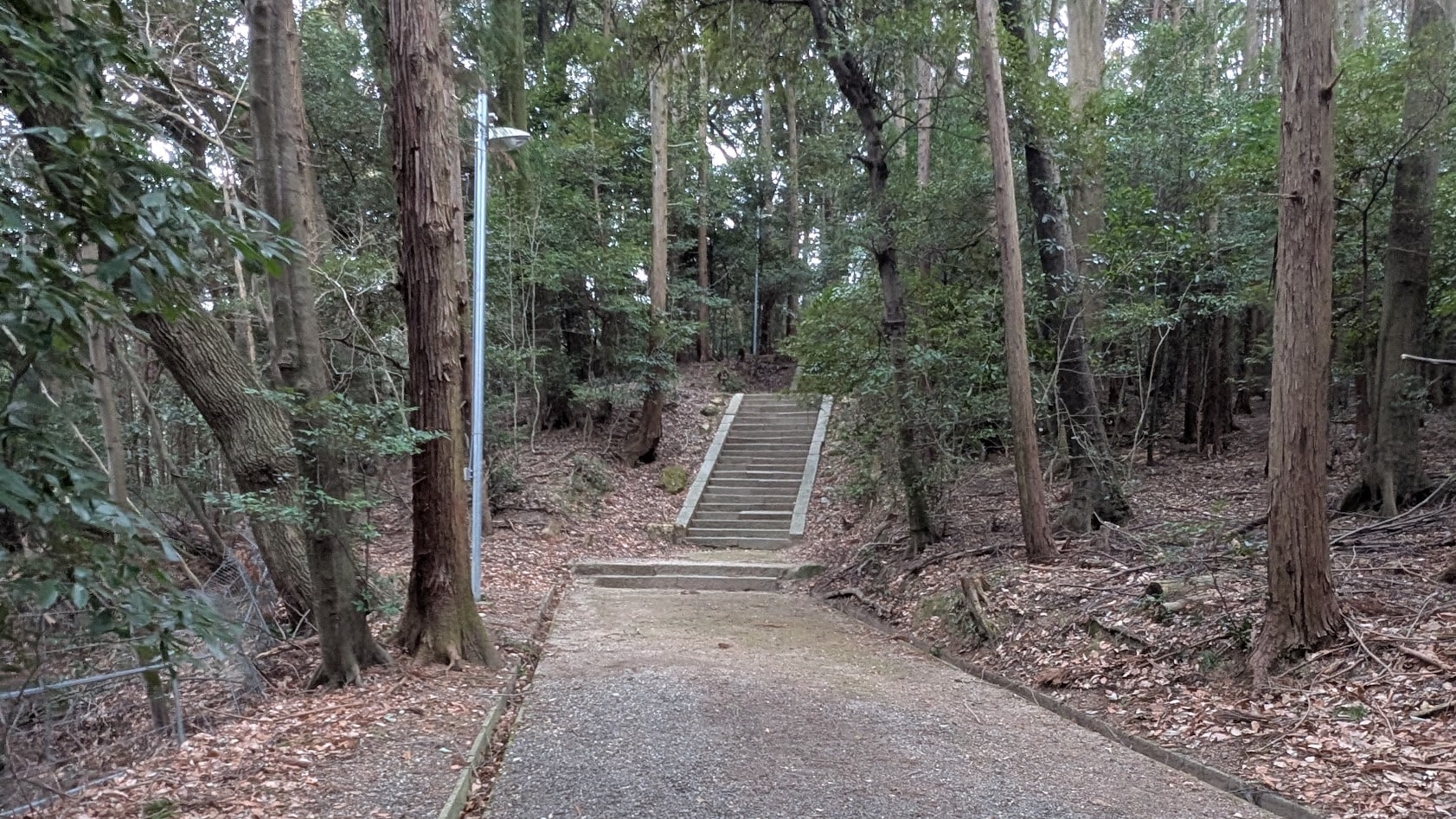 奈良 當麻山口神社の参道。鬱蒼とした木々に囲まれた静かな坂道と、その先に続く石段の風景