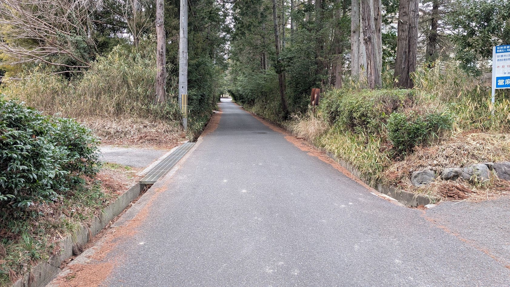 當麻山口神社へ続く最後の細い山道。対向車との離合が困難な箇所もあるため、運転には注意が必要な参道の様子