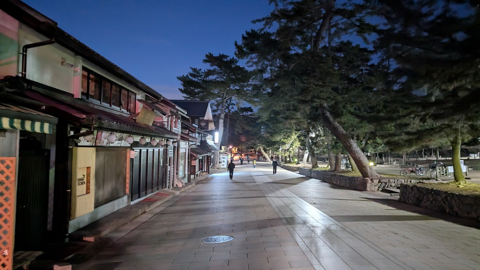 奈良・東大寺の夜の境内。街灯や灯籠の光が石畳をかすかに照らす、静寂に包まれた夜の参道。